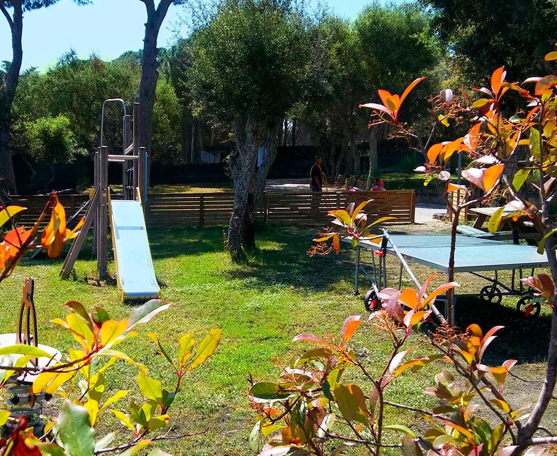 Ubicación Moby Dick